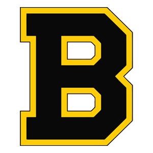 Boston Bruins